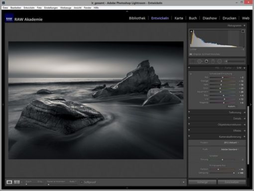 Bildbearbeitung in Schwarz-Weiß in Adobe Lightroom
