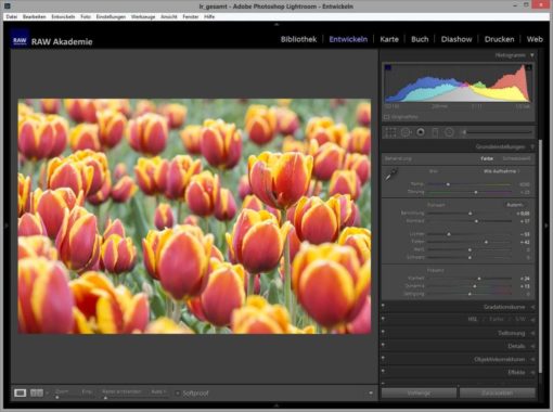 Grundeinstellungen der Bildbearbeitung in Adobe Lightroom