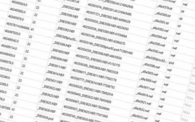 Der Lightroom-Katalog—Teil 2: Flexibler Geselle