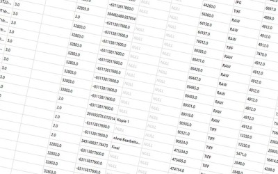 Der Lightroom-Katalog—Teil 1: Fluch oder Segen?