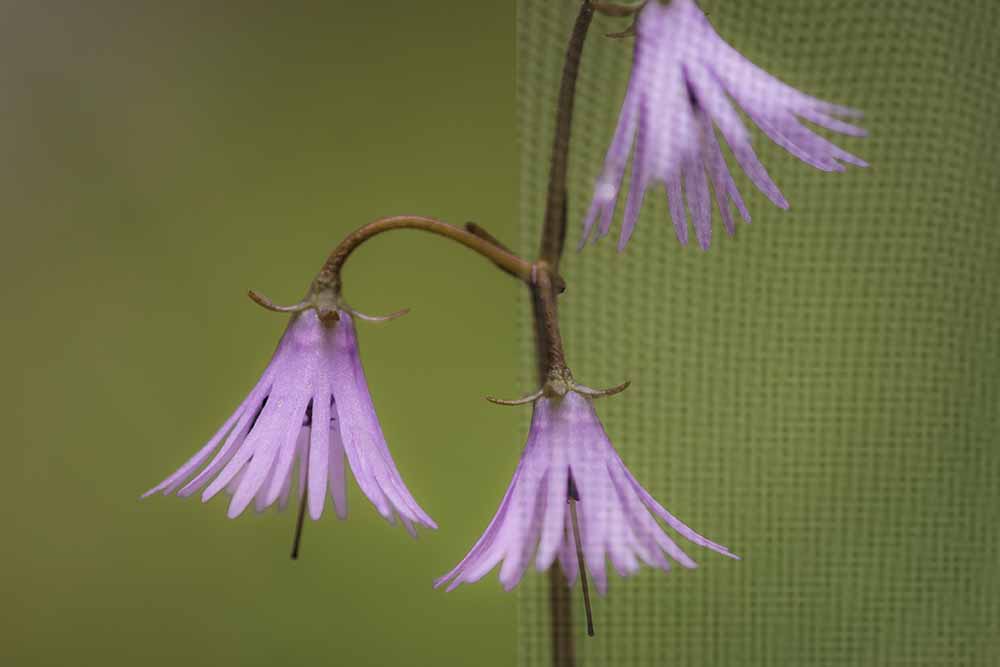 Müssen Fotografen verhüten?