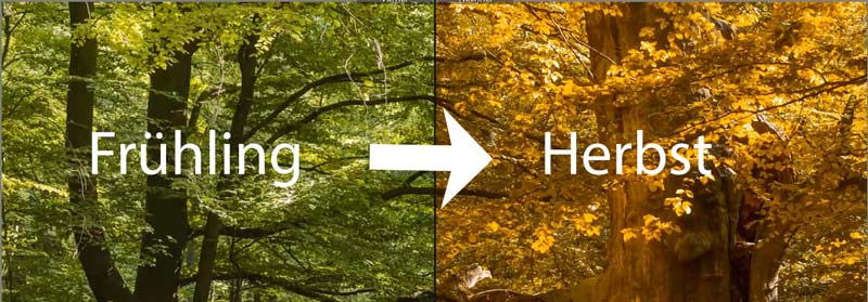 Lightroom to go – Folge 4: Herbst in 5 Sekunden